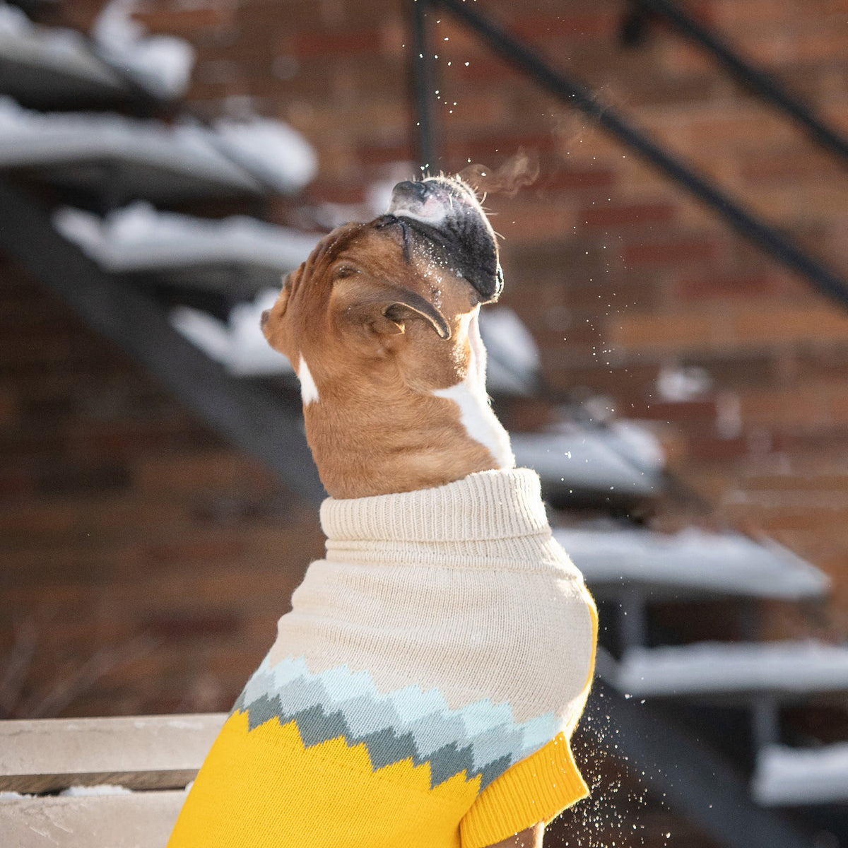 Fireside Sweater - Yellow premium pet product