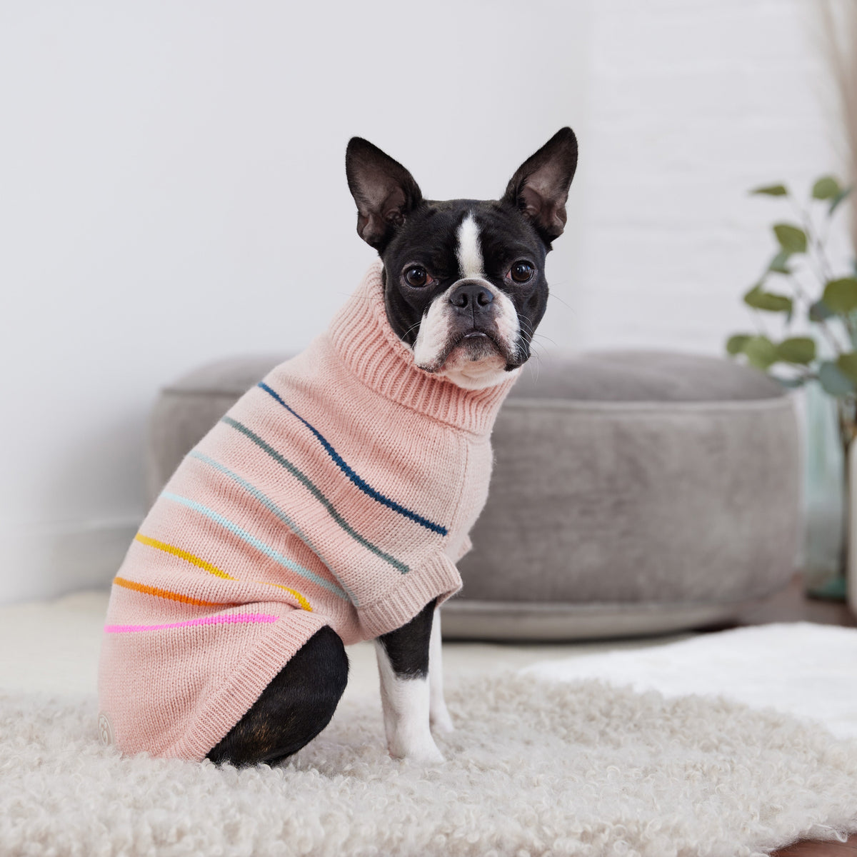 Arctic Sweater - Pink premium pet product