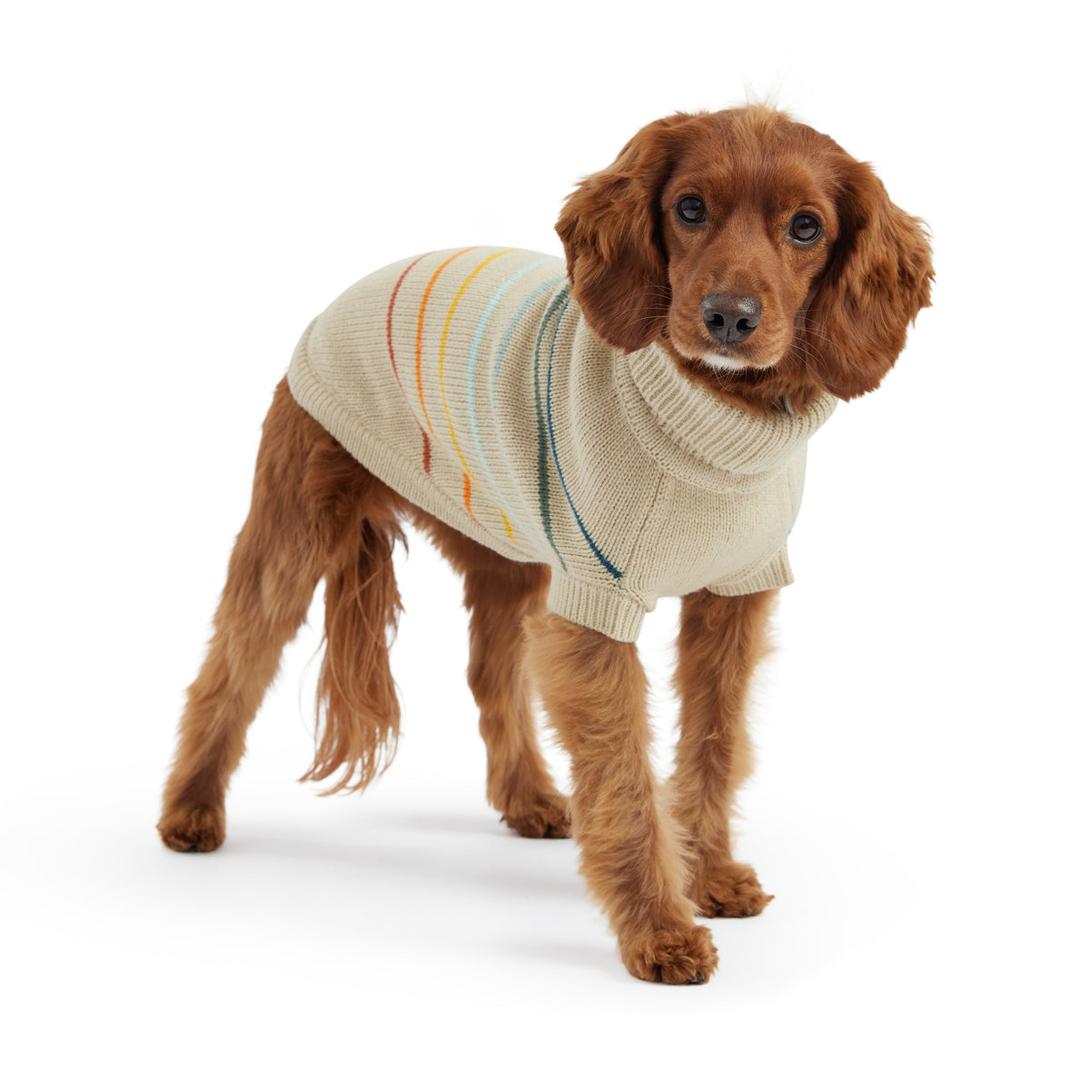 Arctic Sweater - Sand premium pet product