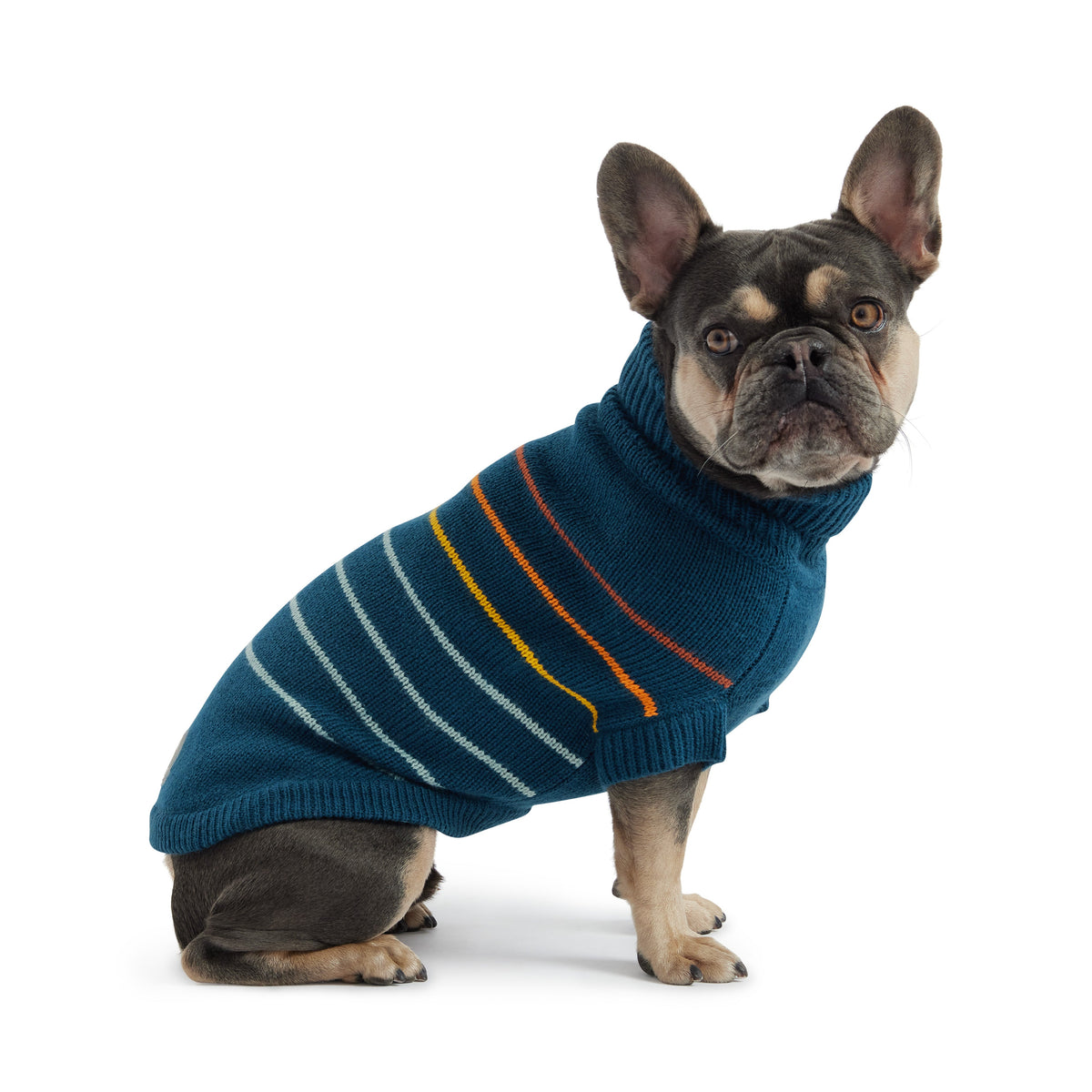 Arctic Sweater - Teal premium pet product
