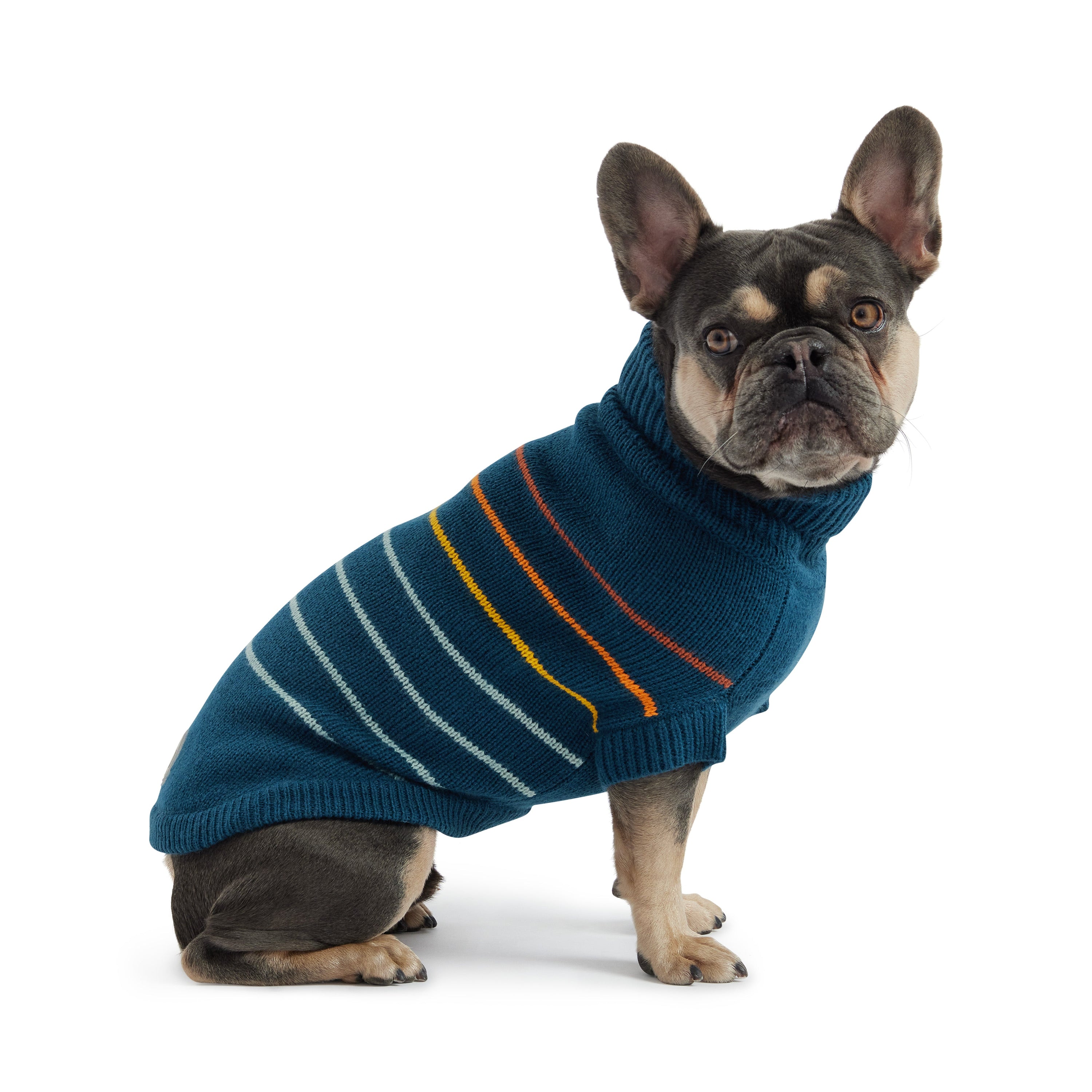 Arctic Sweater - Teal premium pet product