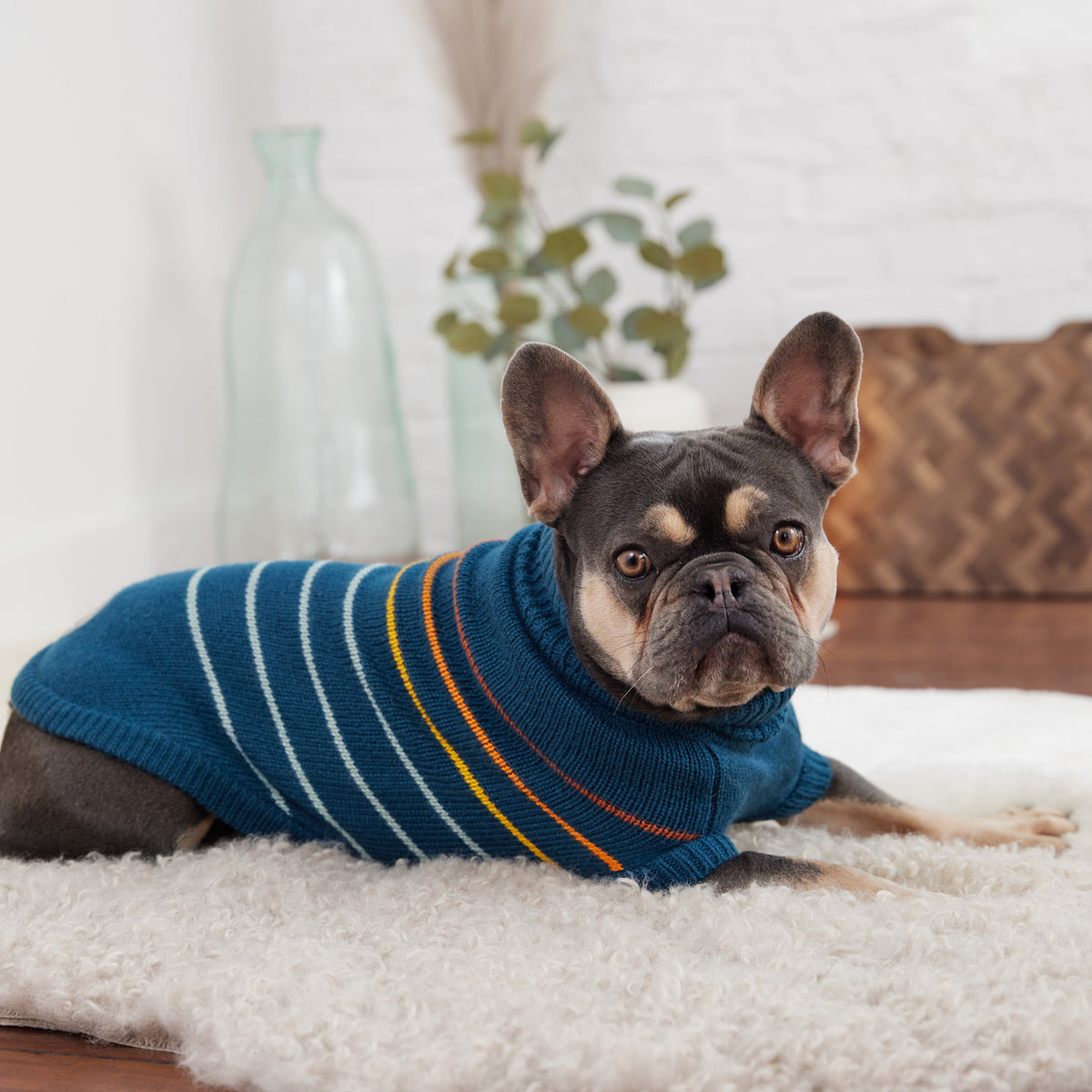 Arctic Sweater - Teal premium pet product