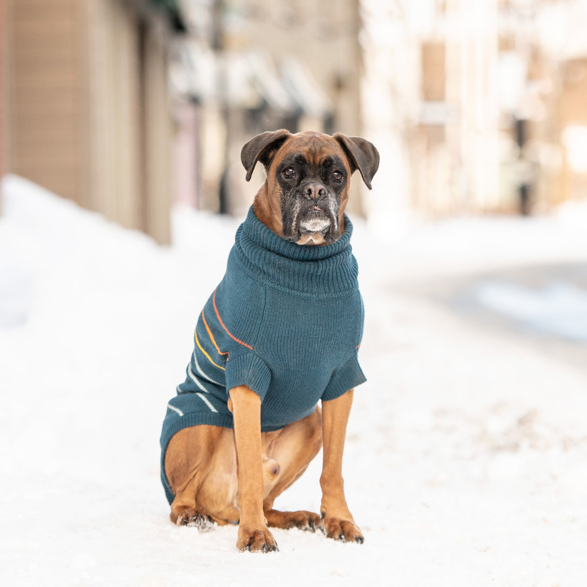 Arctic Sweater - Teal premium pet product
