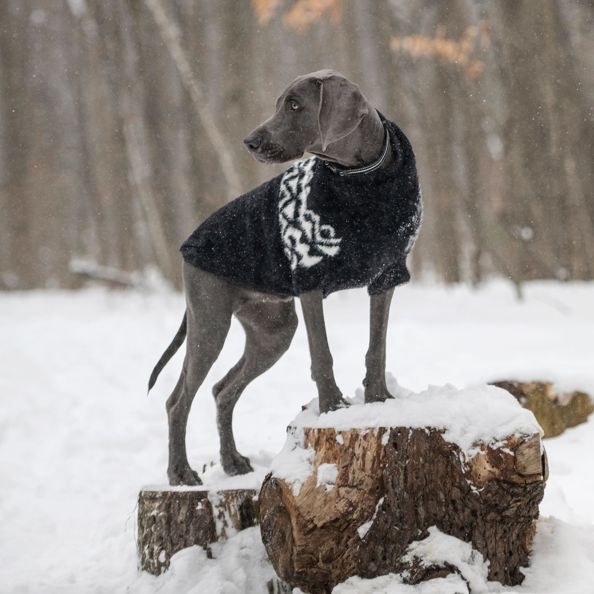 Fuzzy Sweater premium pet product