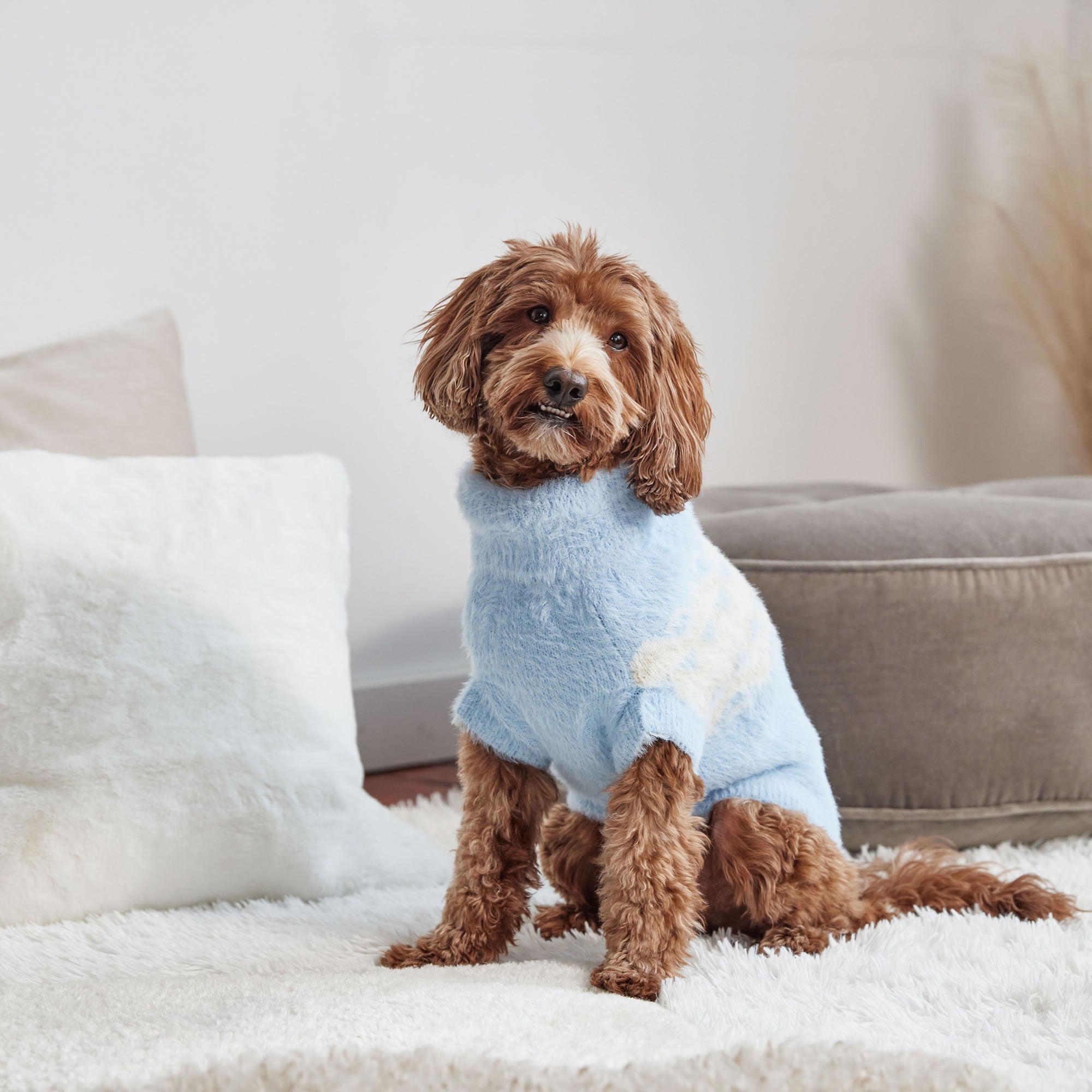 Fuzzy Sweater premium pet product