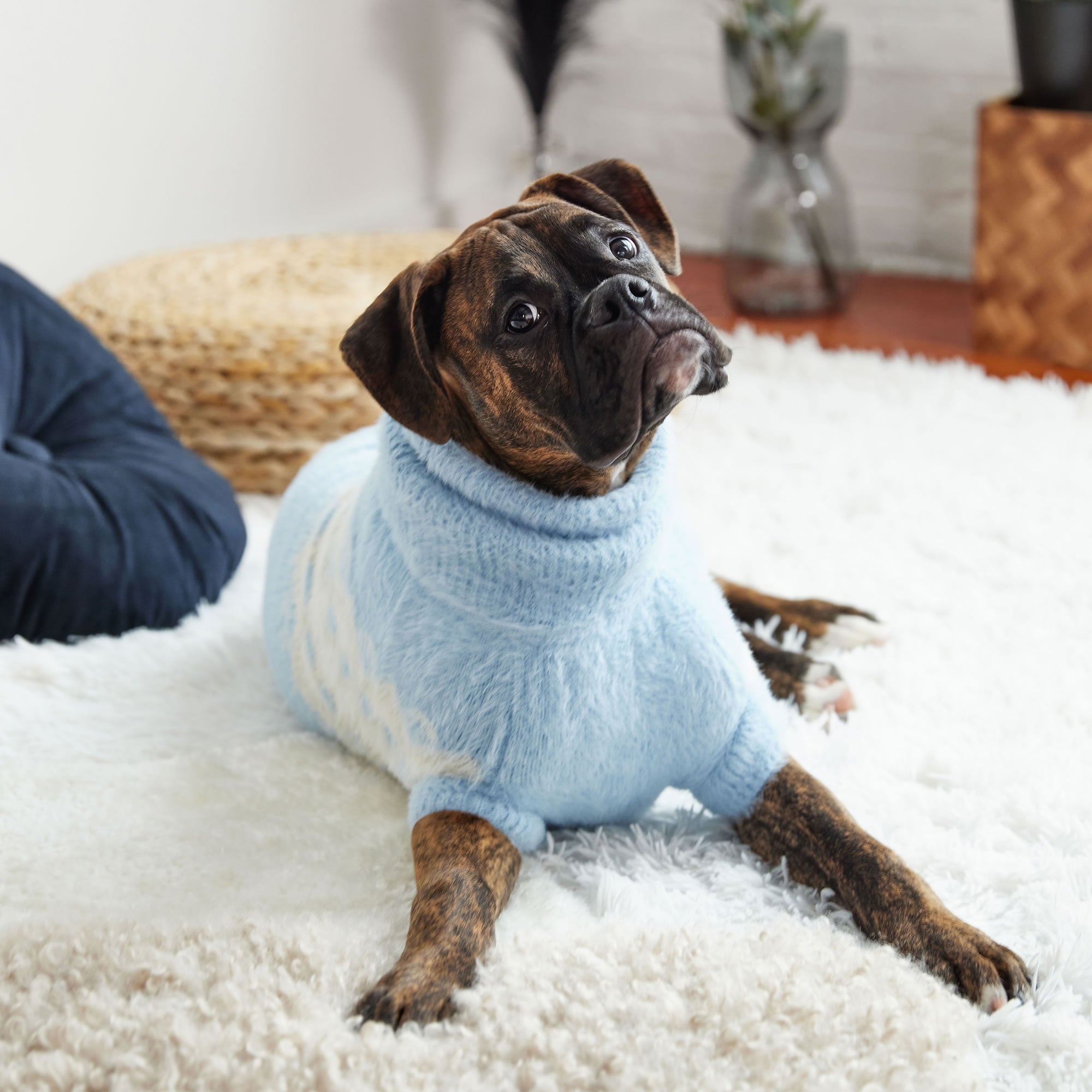 Fuzzy Sweater premium pet product