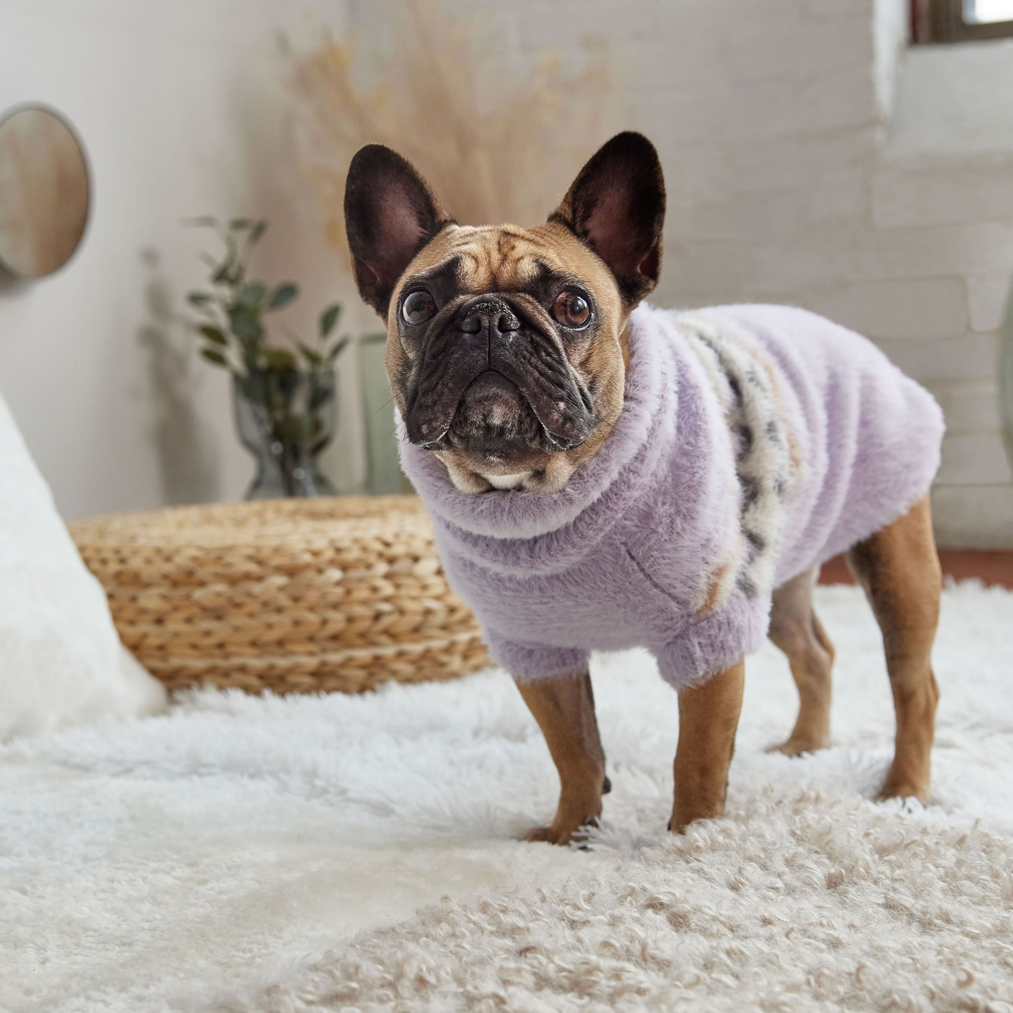 Fuzzy Sweater premium pet product