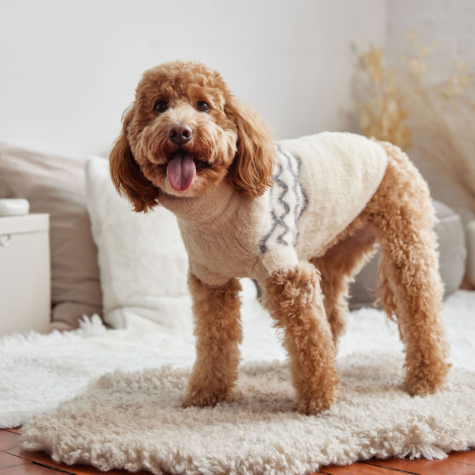 Fuzzy Sweater premium pet product