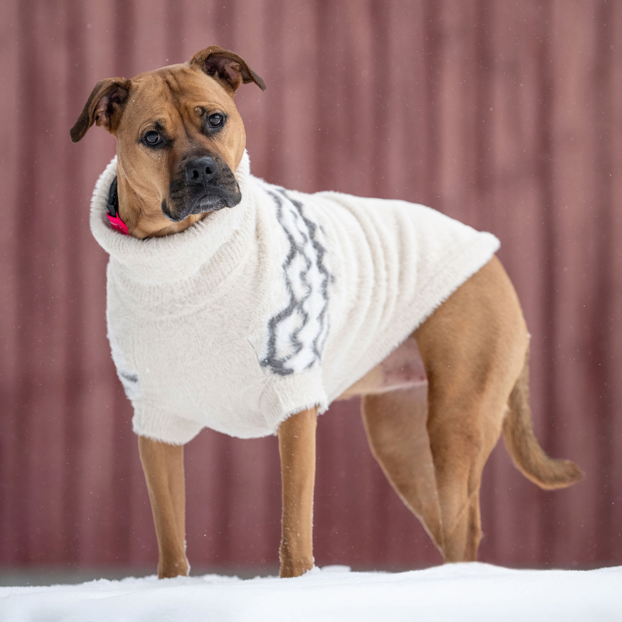 Fuzzy Sweater premium pet product