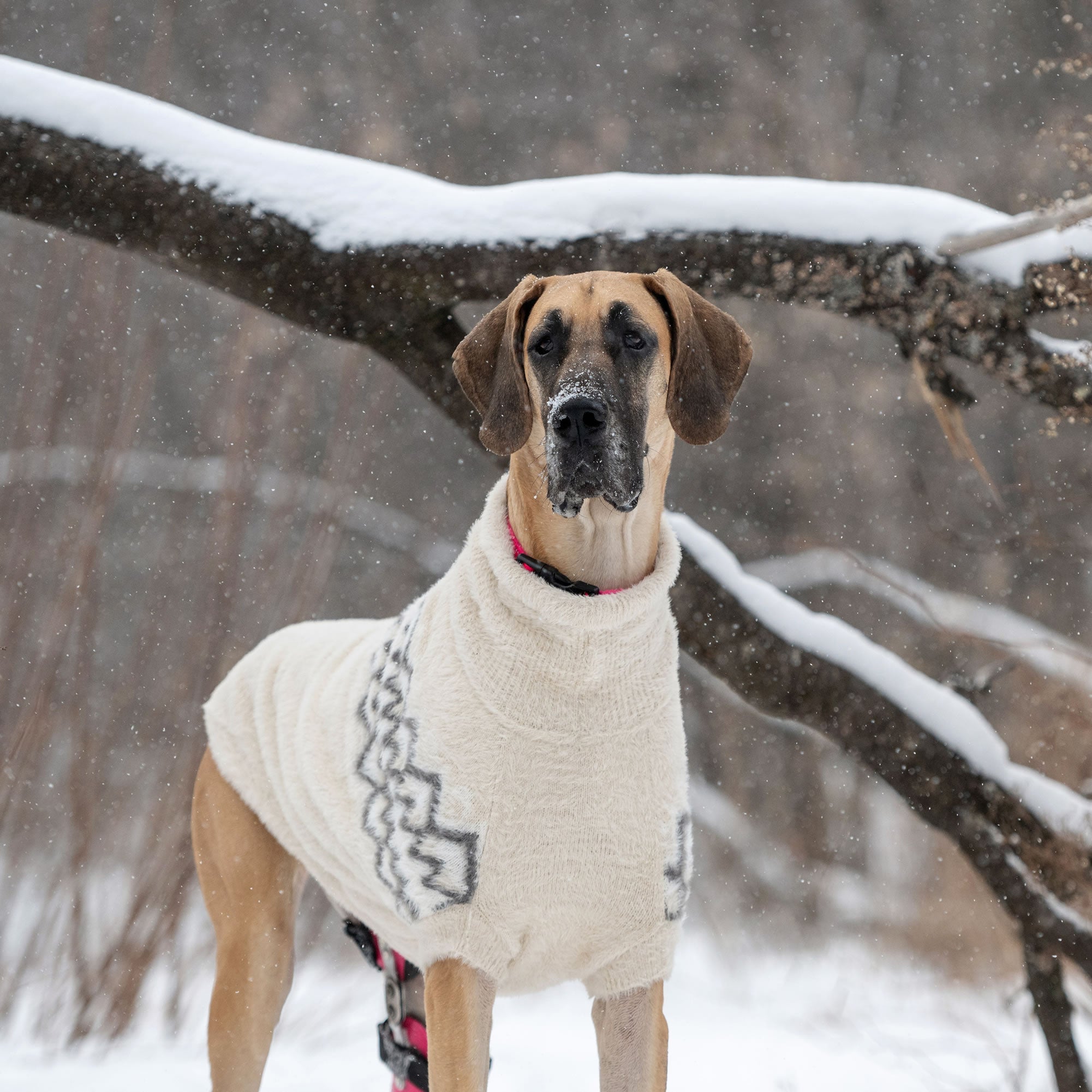 Fuzzy Sweater premium pet product