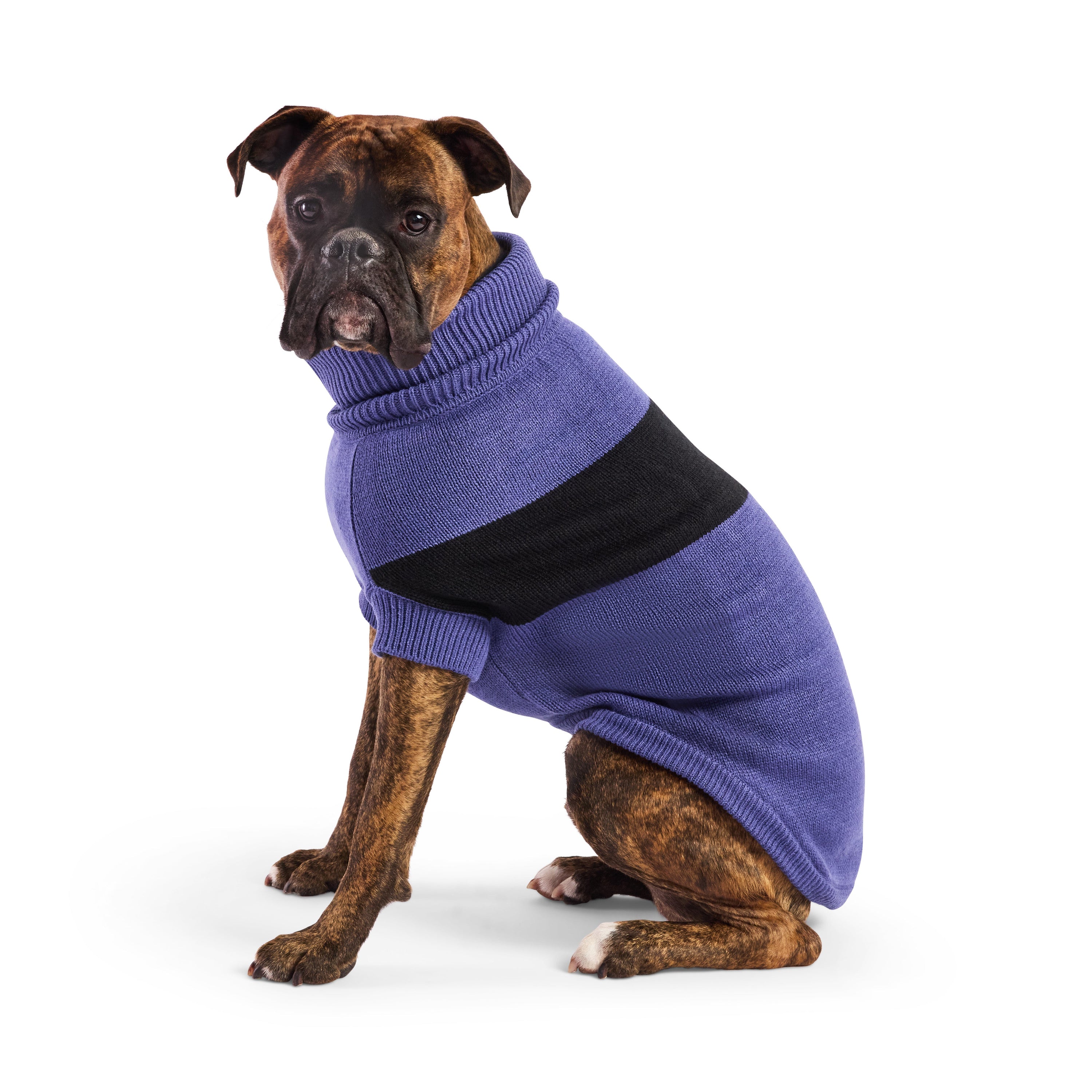 Catalyst Sweater premium pet product
