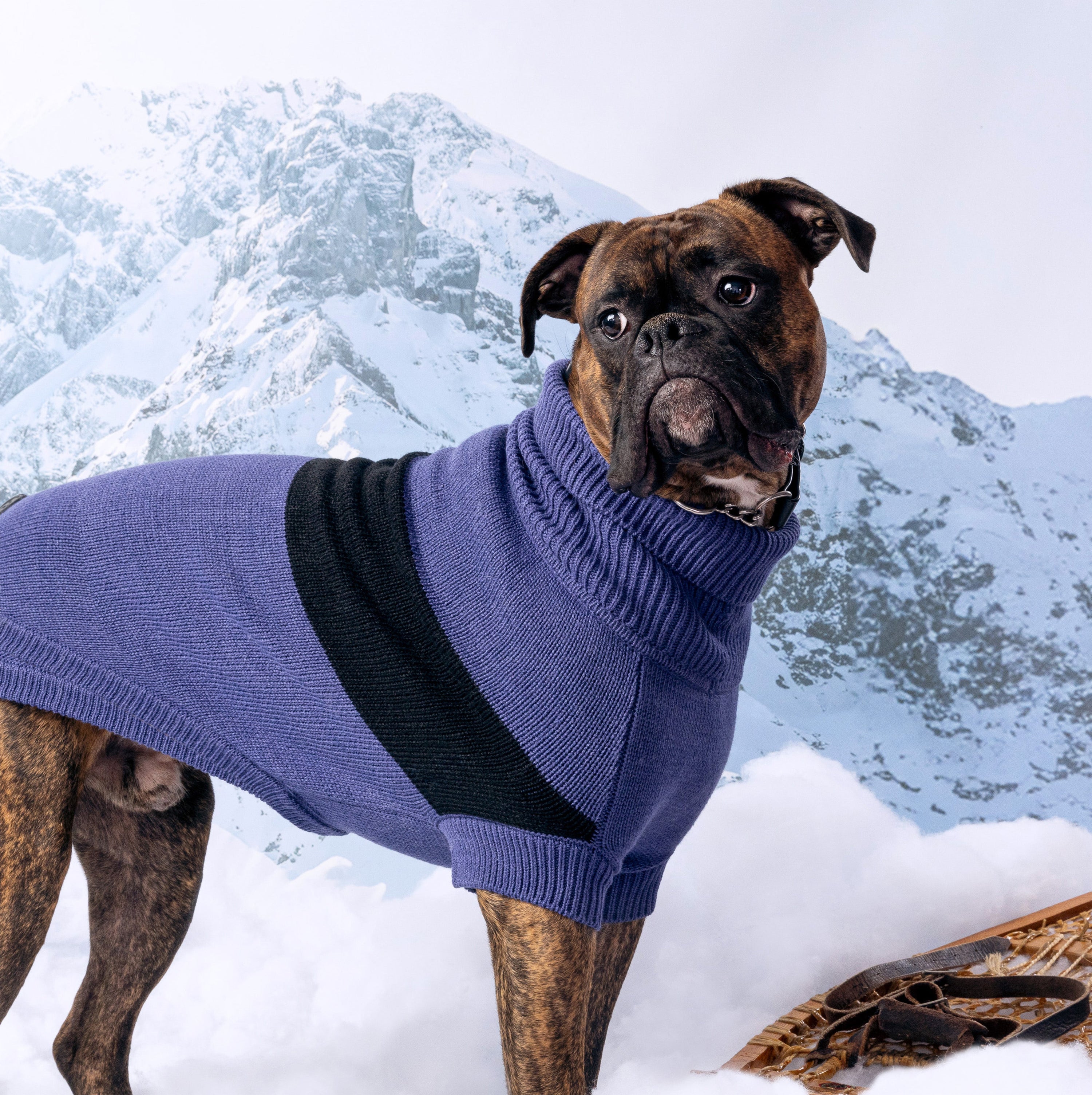 Catalyst Sweater premium pet product