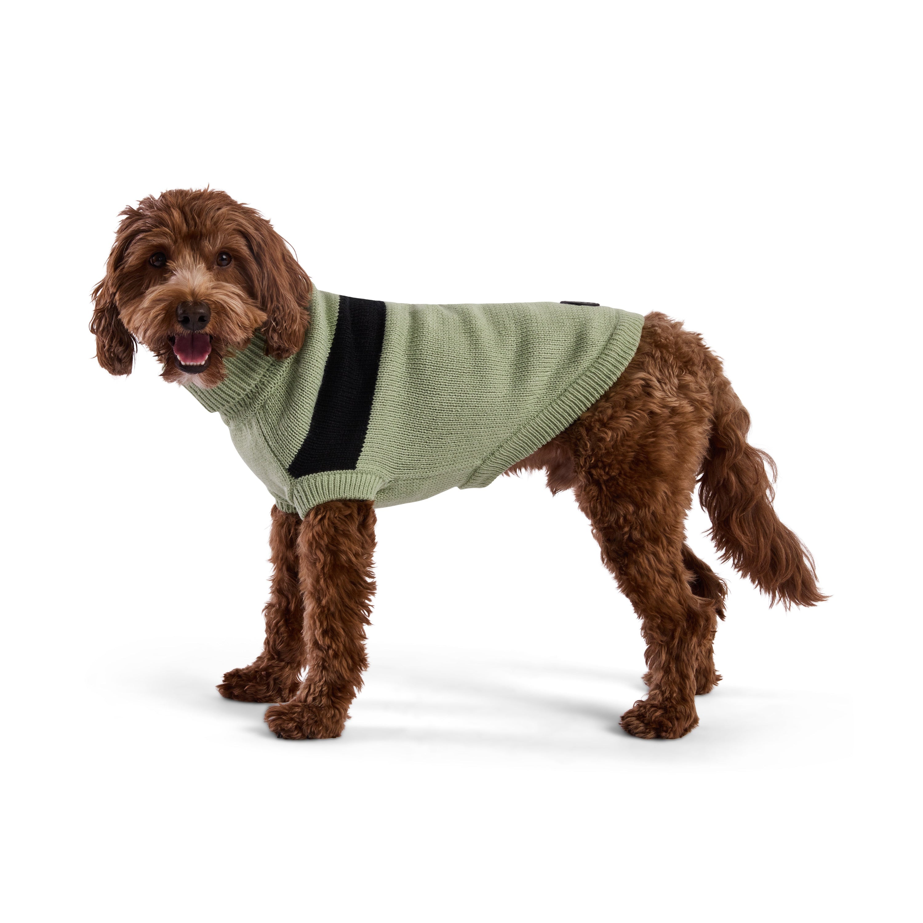 Catalyst Sweater premium pet product