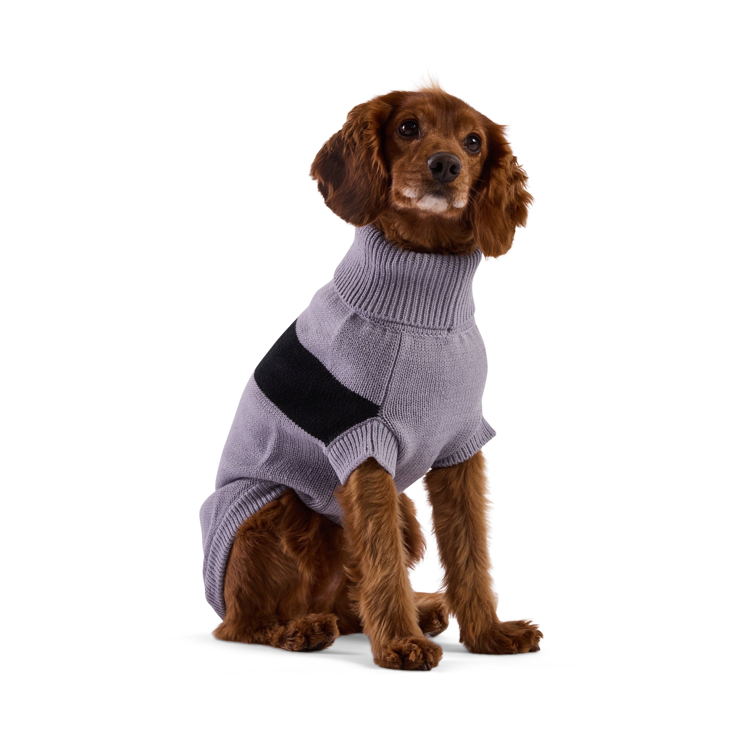 Catalyst Sweater premium pet product