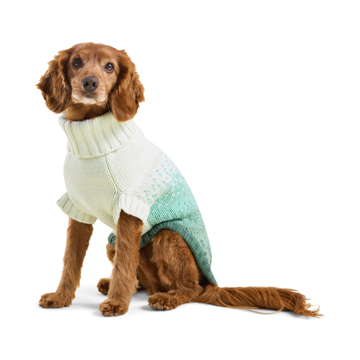 GF Pet Fisherman Knit Dog Sweater in Greenbay