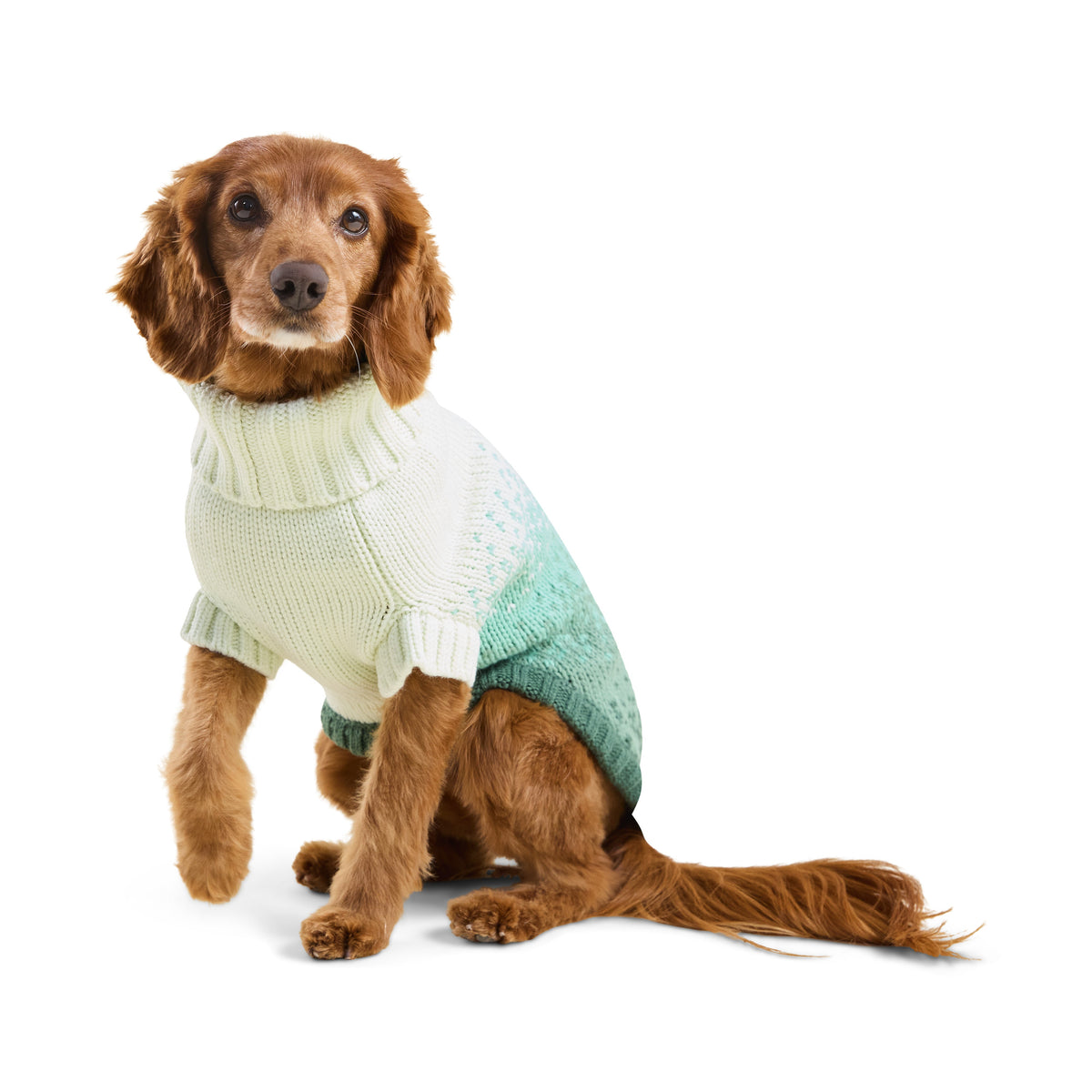 GF Pet Fisherman Knit Dog Sweater in Greenbay