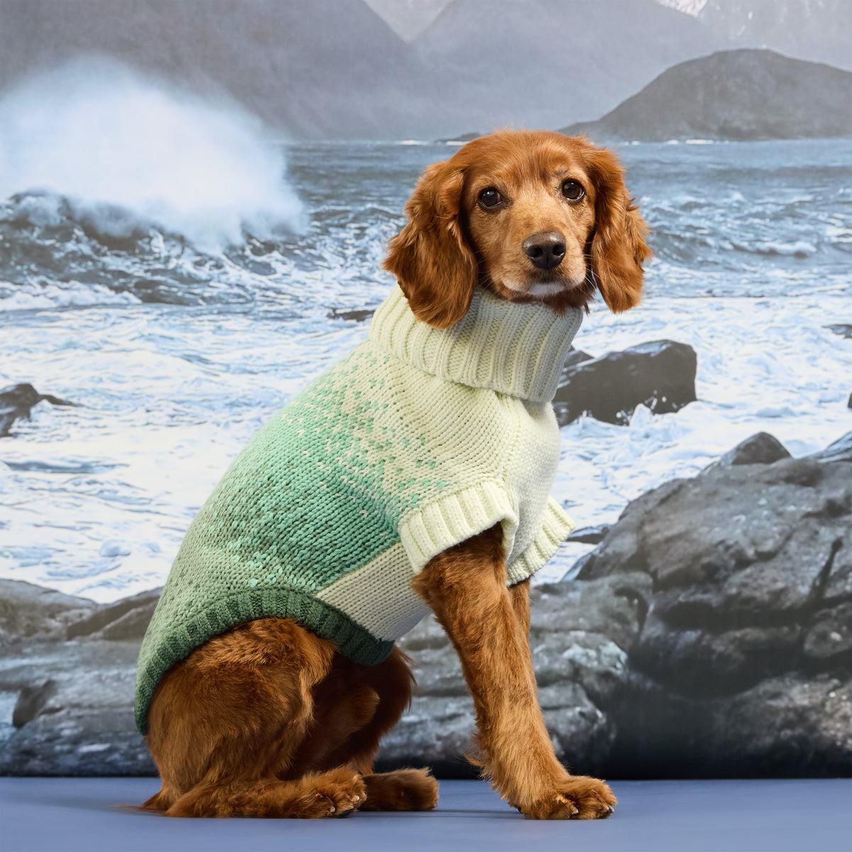 GF Pet Fisherman Knit Dog Sweater in Greenbay
