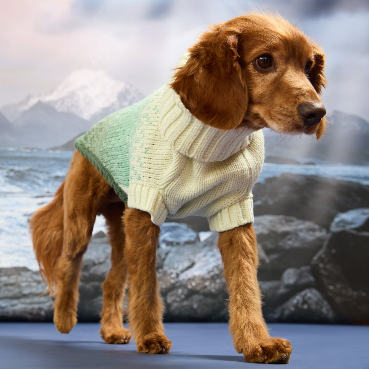 GF Pet Fisherman Knit Dog Sweater in Greenbay