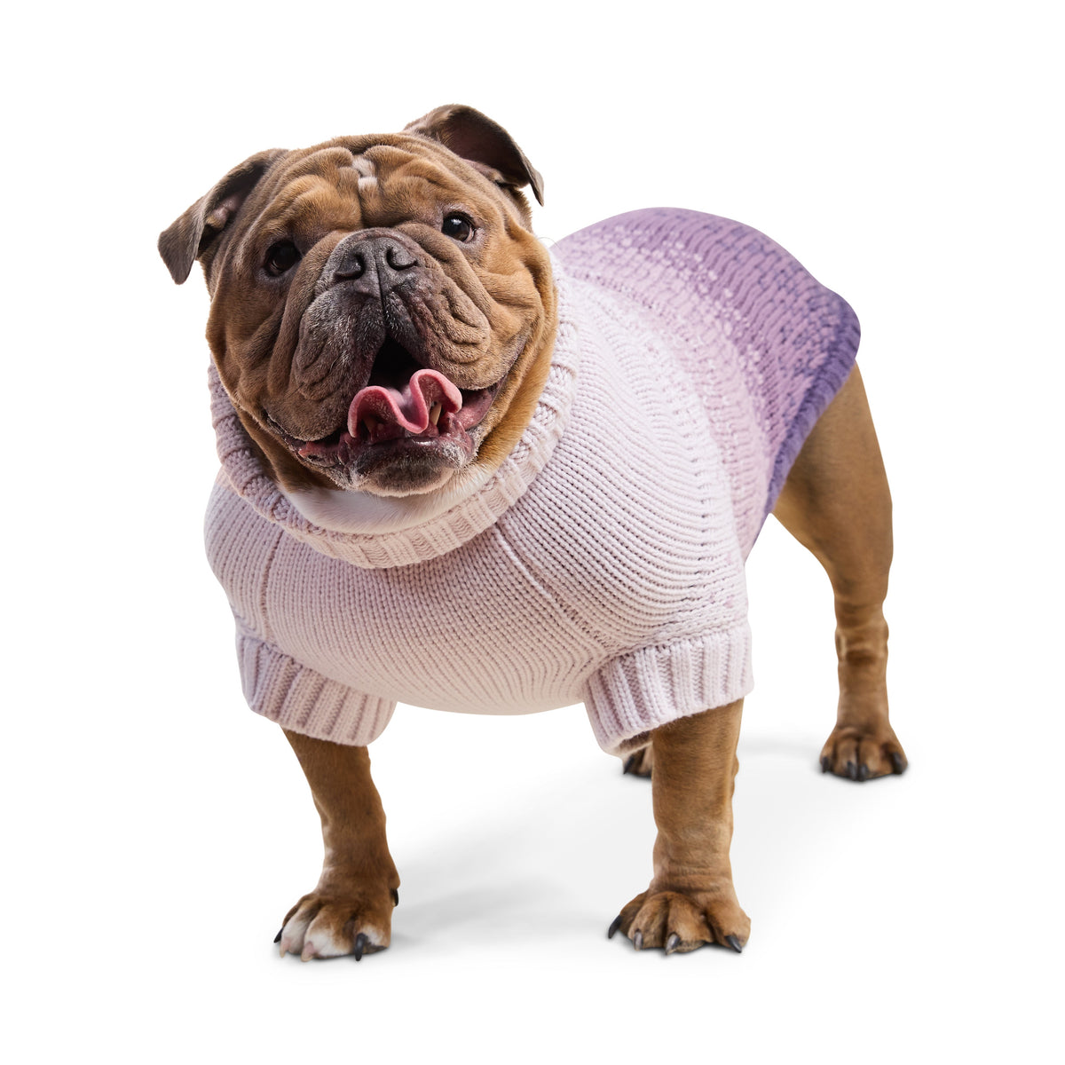 GF Pet Fisherman Knit Dog Sweater in Harborplum