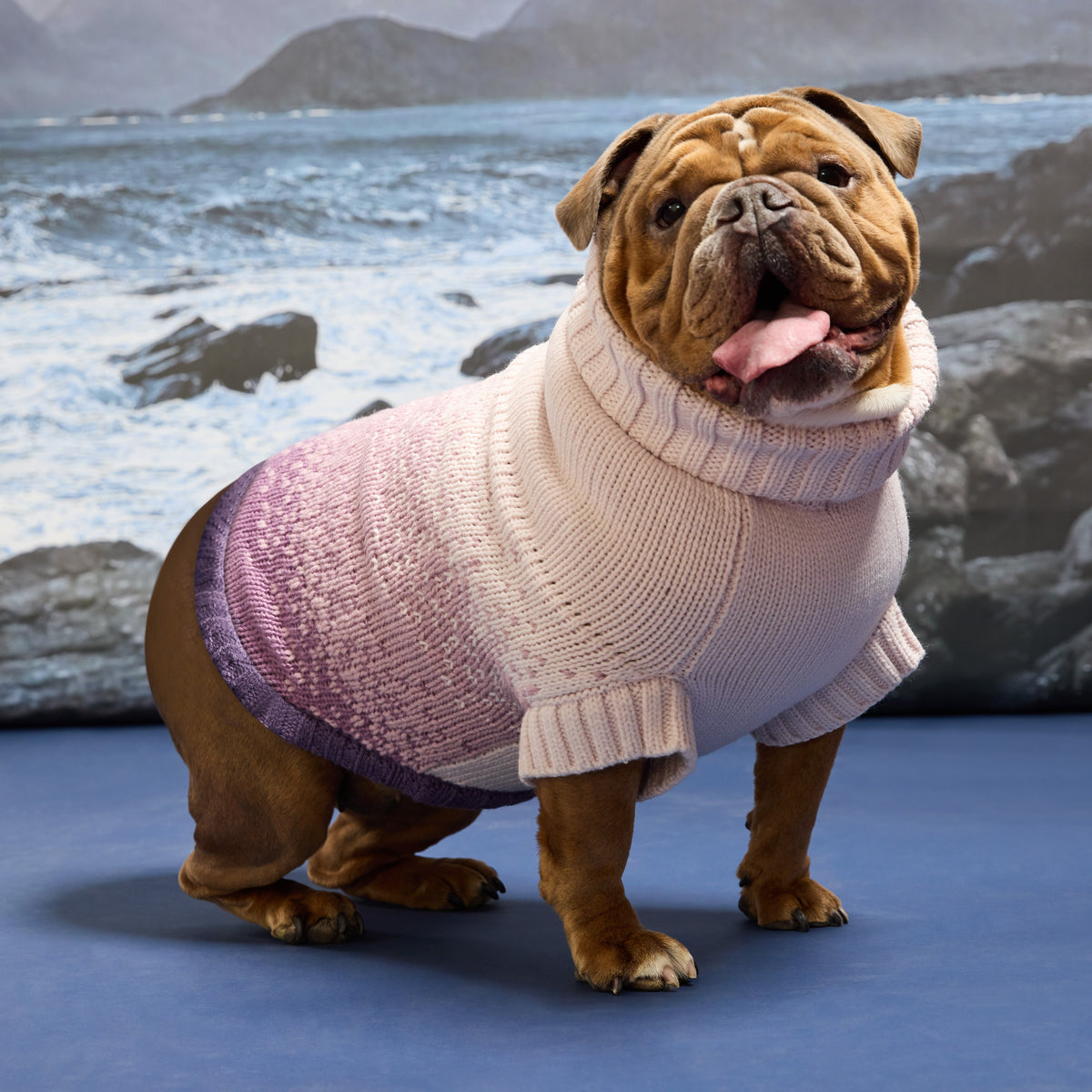 GF Pet Fisherman Knit Dog Sweater in Harborplum