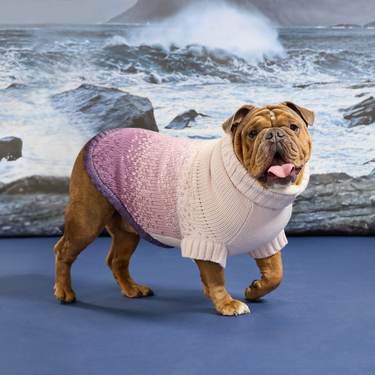 GF Pet Fisherman Knit Dog Sweater in Harborplum