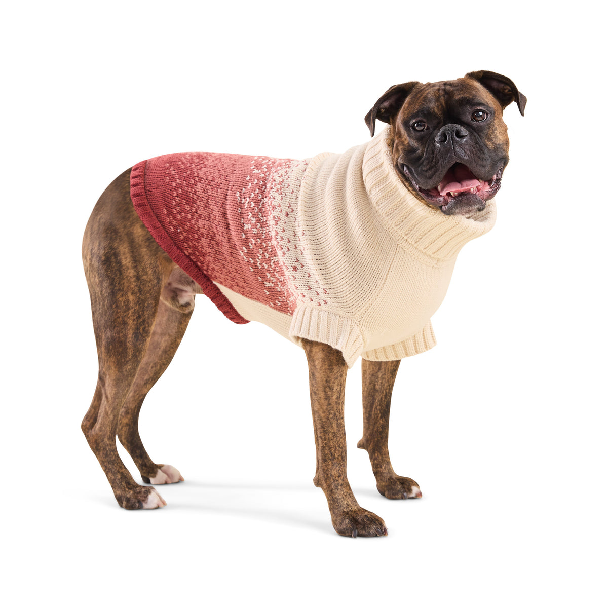 GF Pet Fisherman Knit Dog Sweater in Portsidered