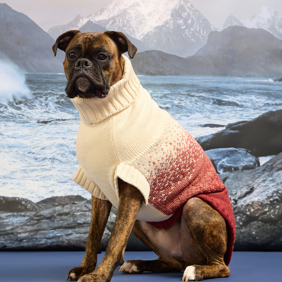 GF Pet Fisherman Knit Dog Sweater in Portsidered