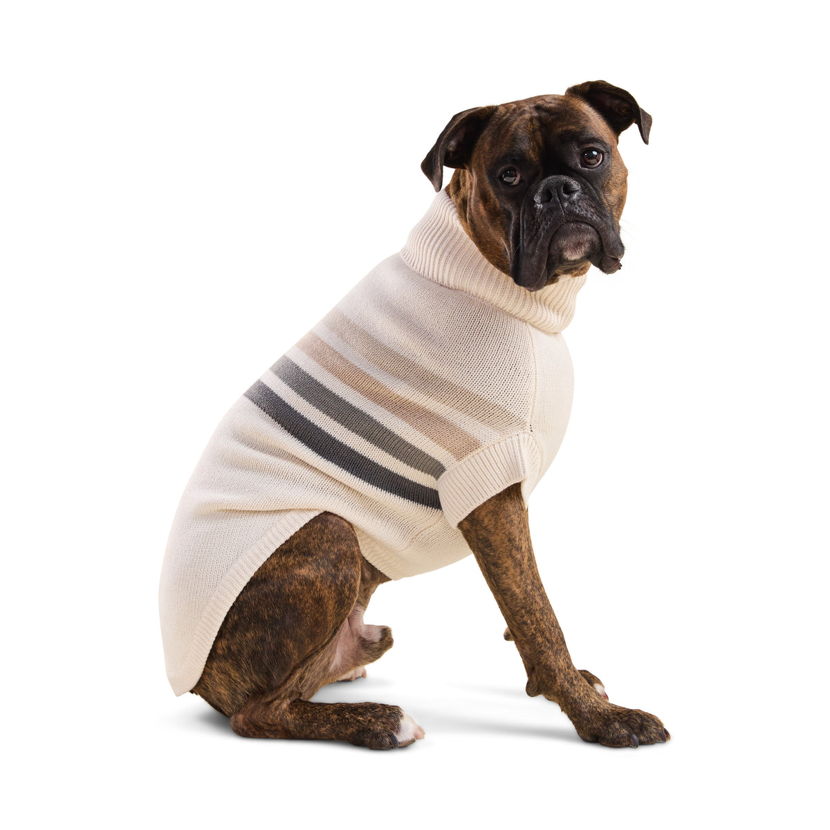 GF Pet Coastline Knit Striped Dog Sweater in Beachwood