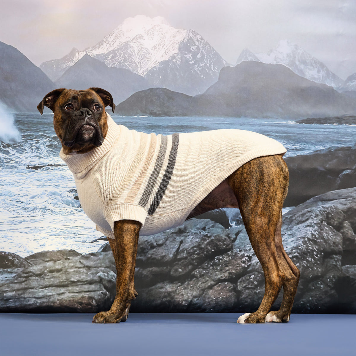 GF Pet Coastline Knit Striped Dog Sweater in Beachwood