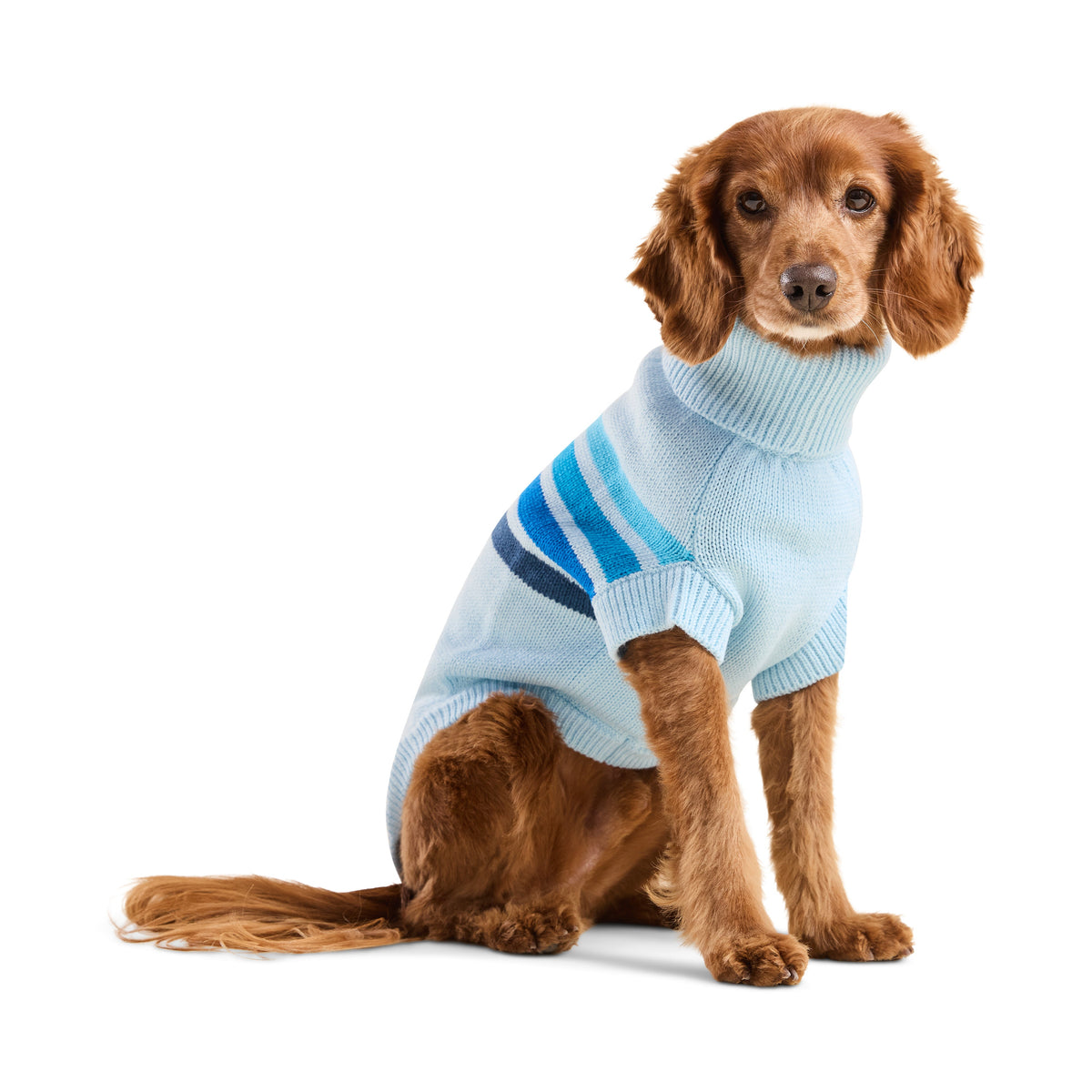 GF Pet Coastline Knit Striped Dog Sweater in Blueice