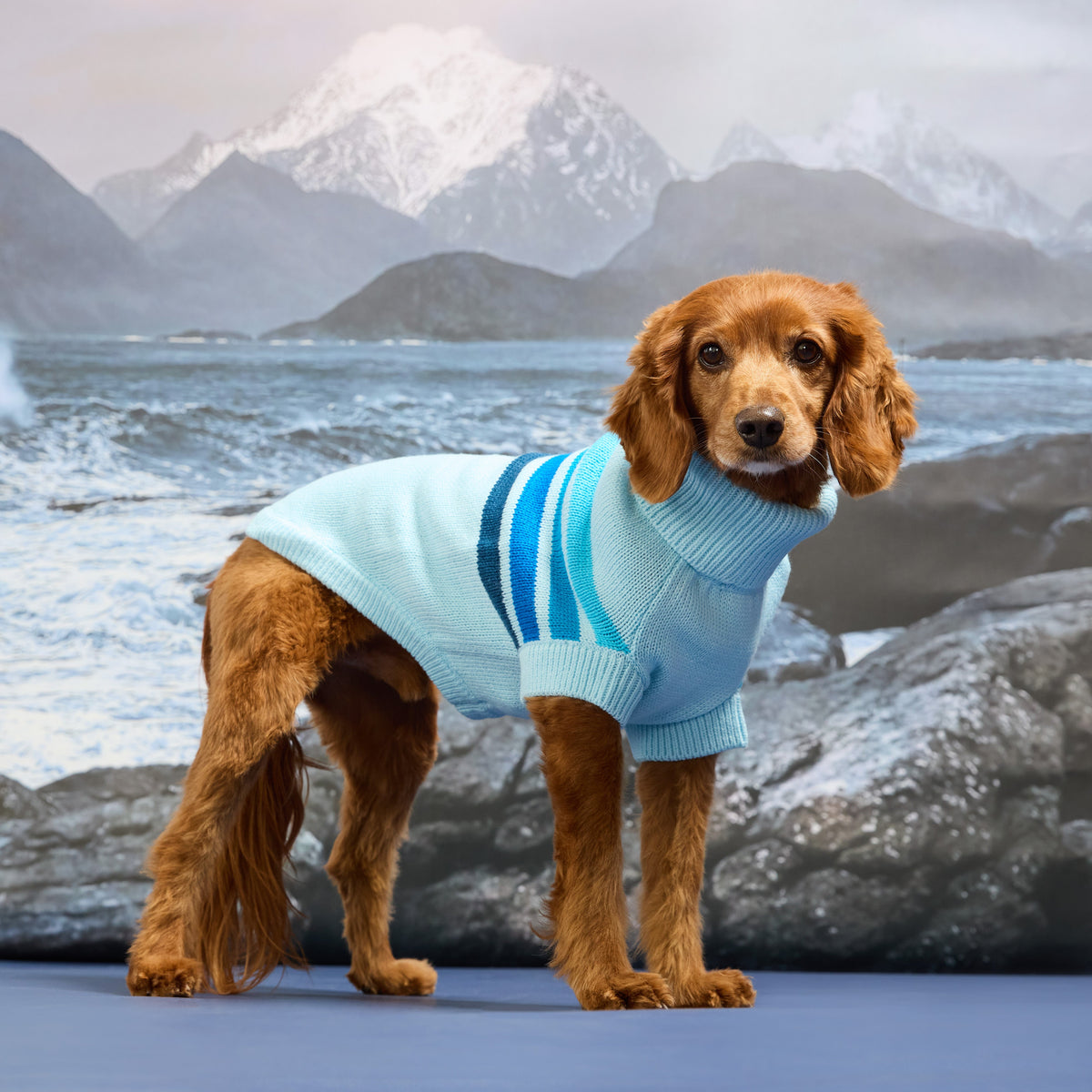 GF Pet Coastline Knit Striped Dog Sweater in Blueice