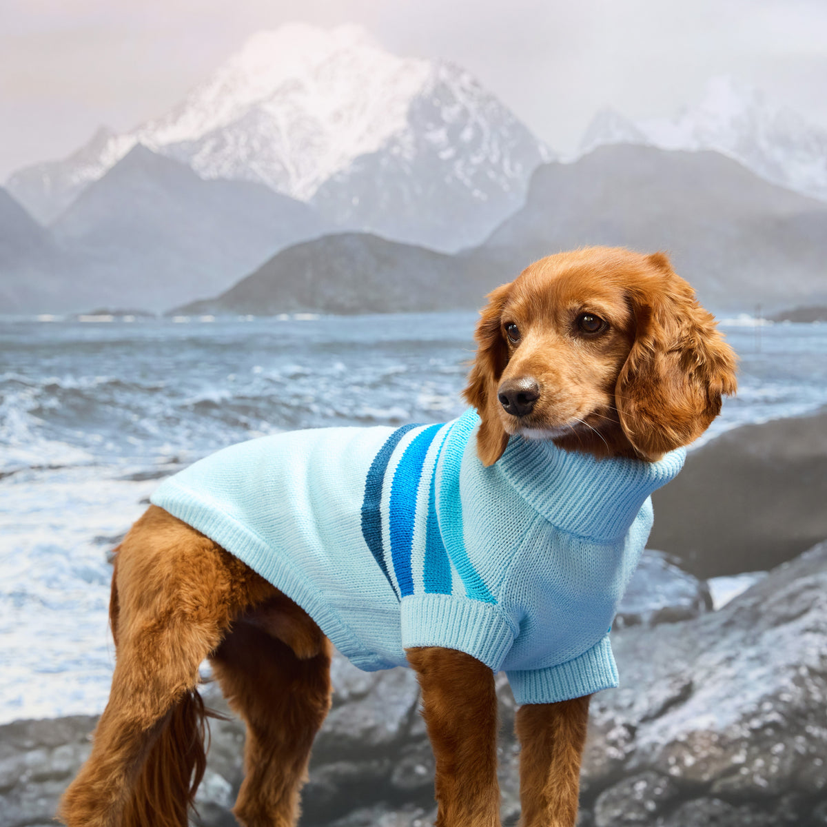 GF Pet Coastline Knit Striped Dog Sweater in Blueice