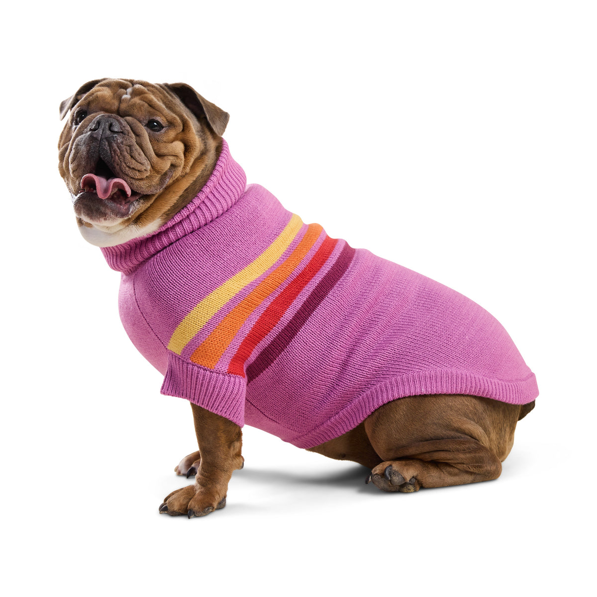 GF Pet Coastline Knit Striped Dog Sweater in Pinkwave