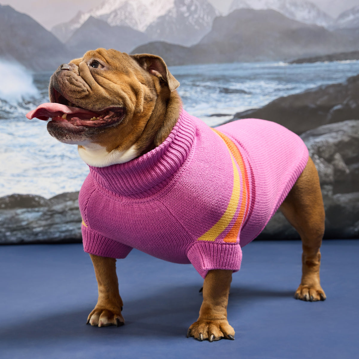 GF Pet Coastline Knit Striped Dog Sweater in Pinkwave