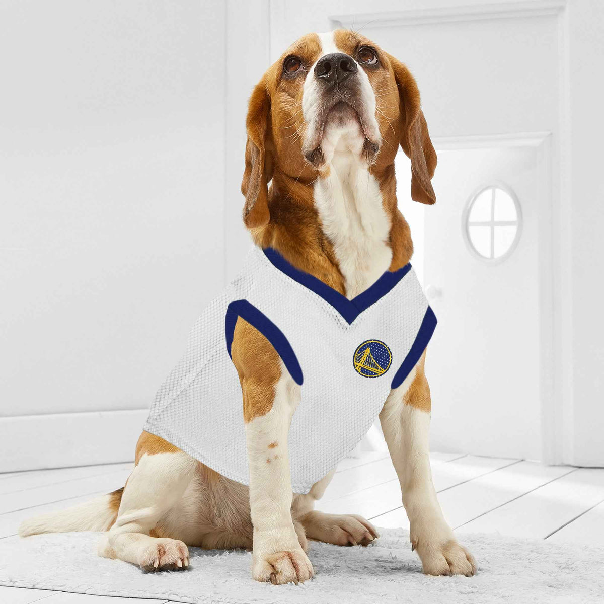 NBA Golden State Warriors Road Basketball Pet Jersey