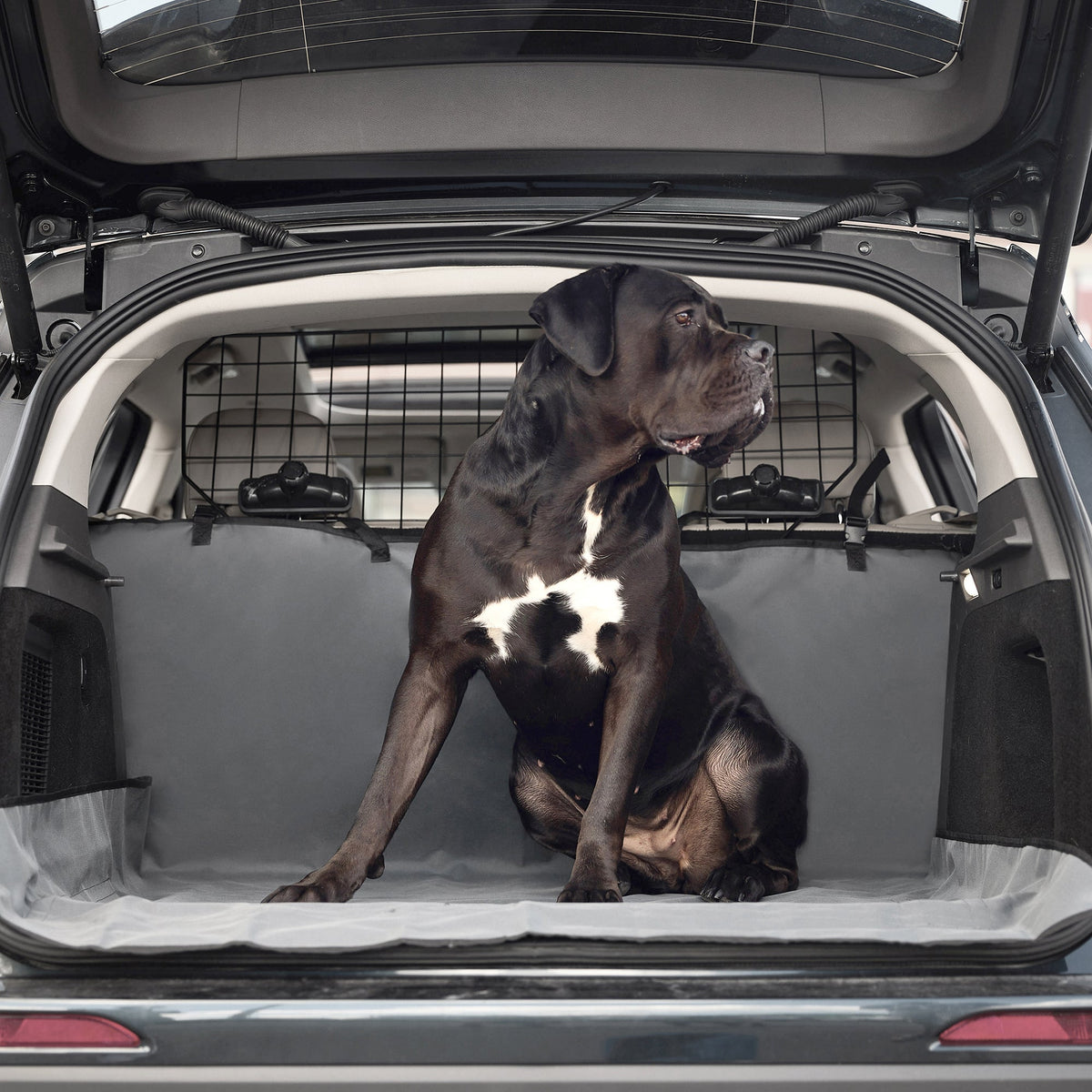 Pet Cargo Cover premium pet product