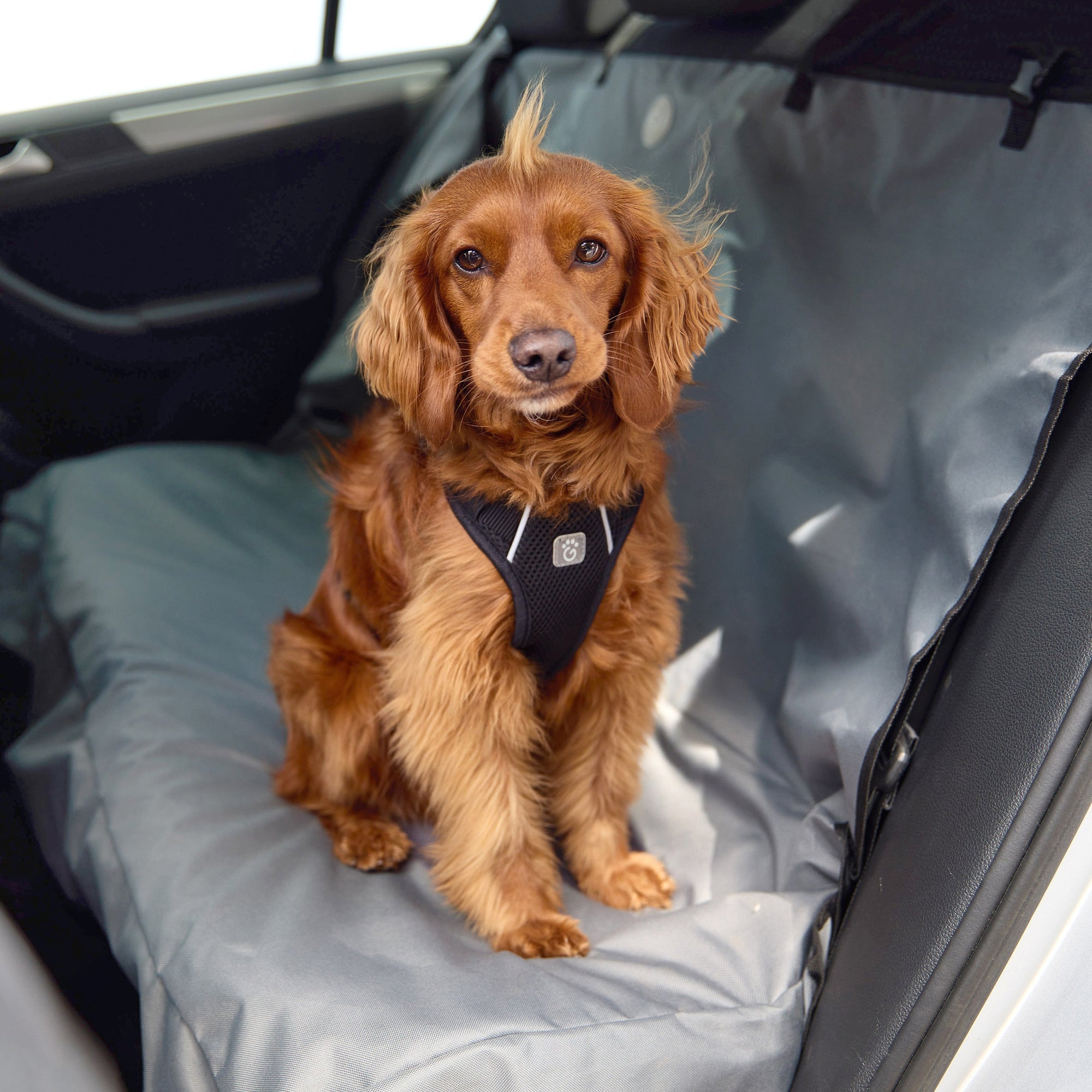 Pet Bench Cover premium pet product