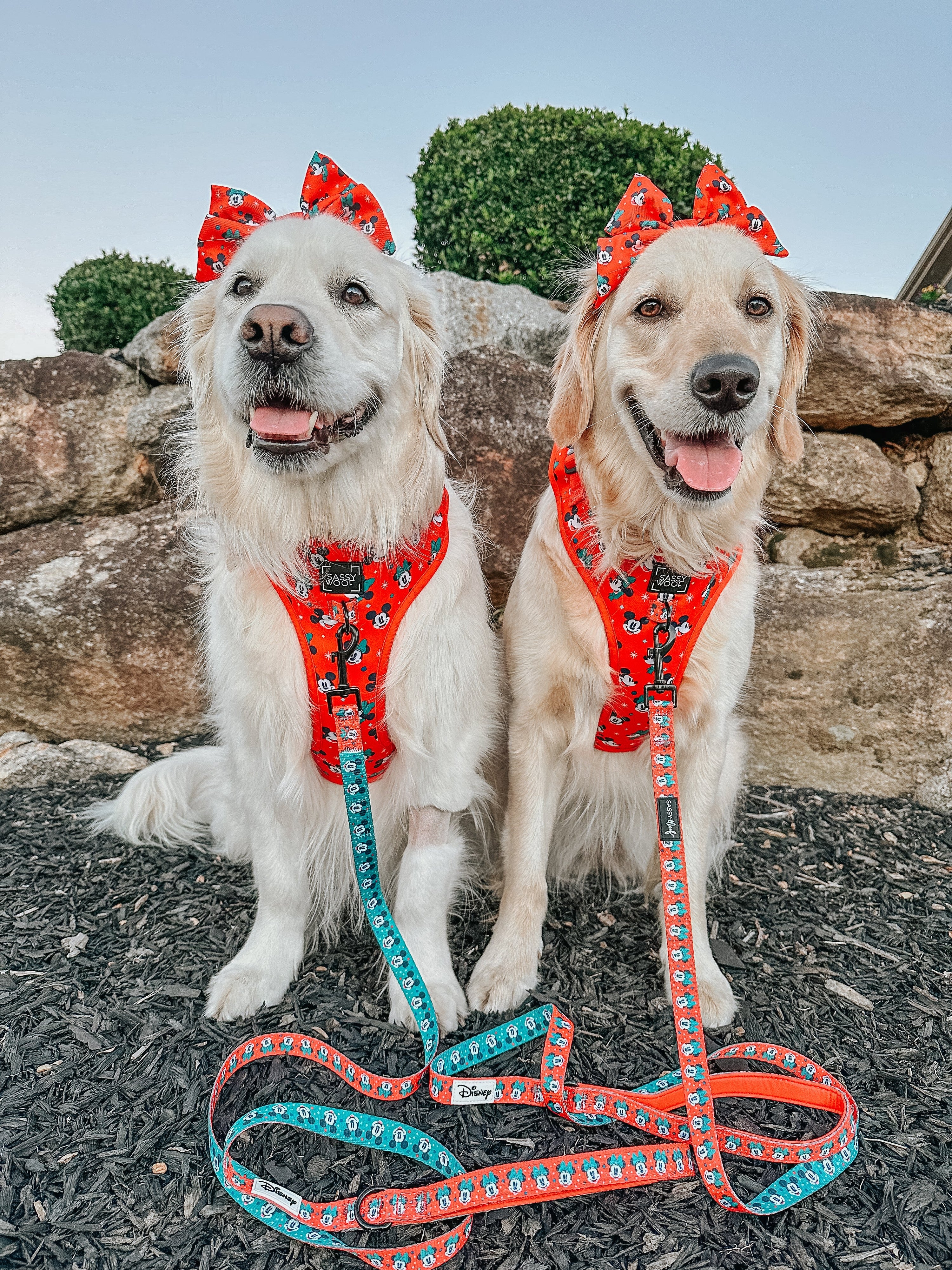 Dog Leash - Disney Holiday Collection