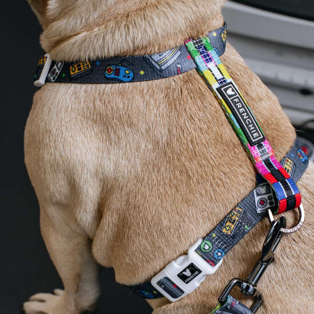 Frenchie Strap Harness - Gamer