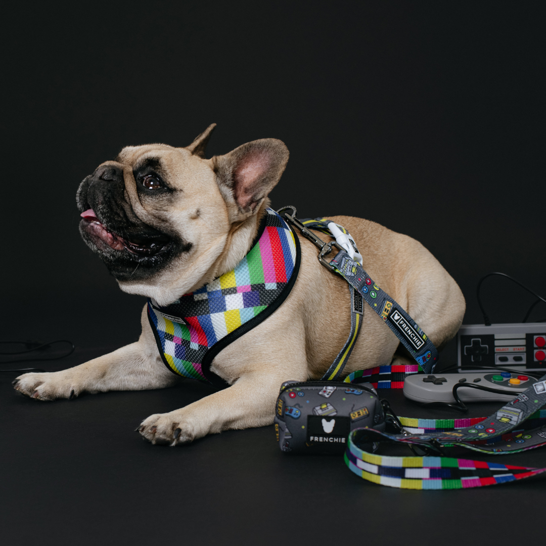 Frenchie Duo Reversible Harness - Gamer