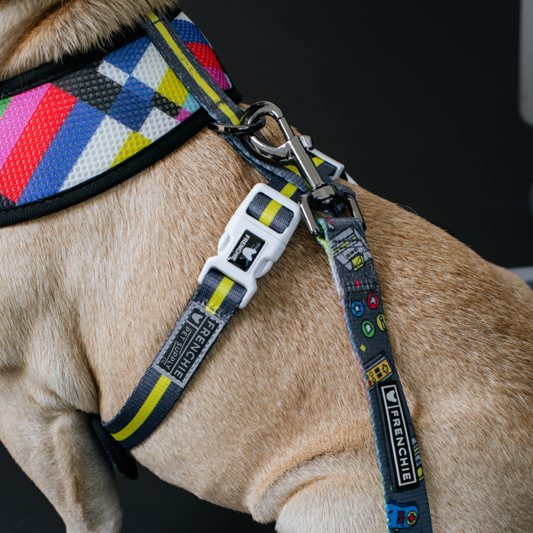 Frenchie Duo Reversible Harness - Gamer