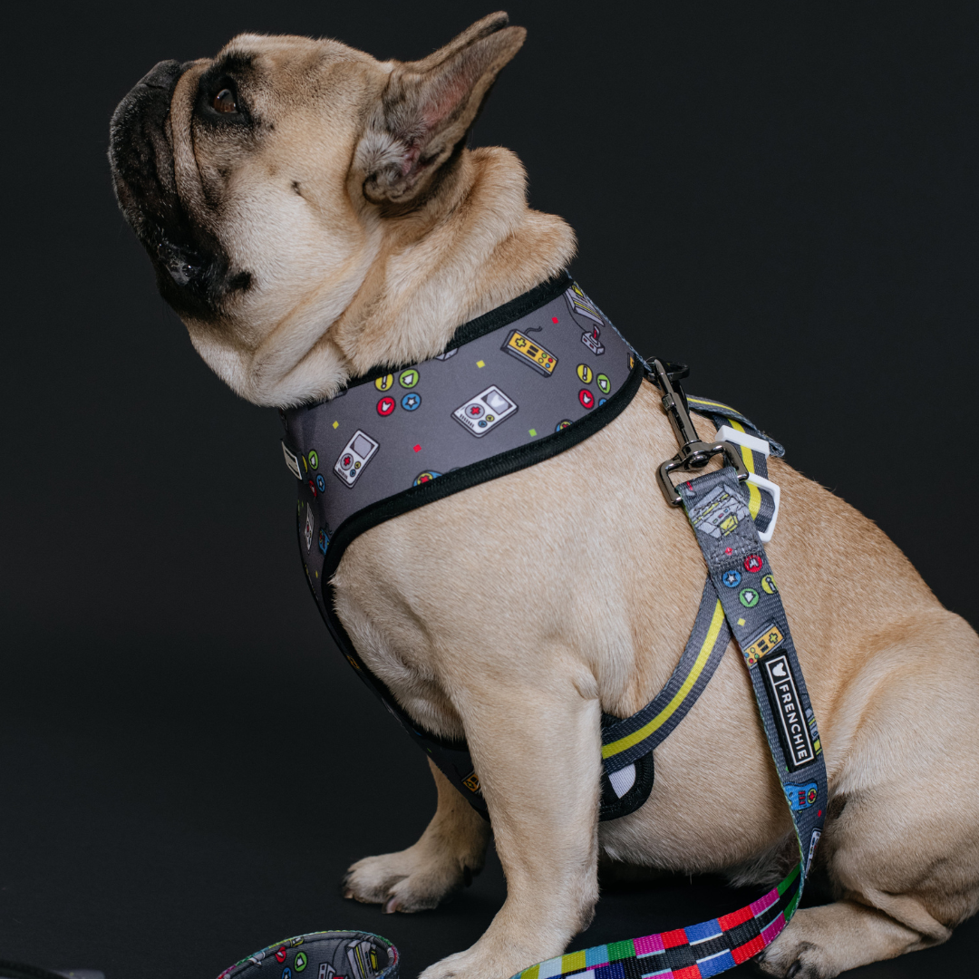 Frenchie Duo Reversible Harness - Gamer