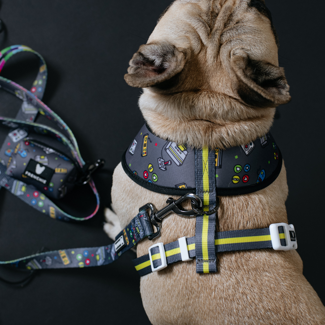 Frenchie Duo Reversible Harness - Gamer