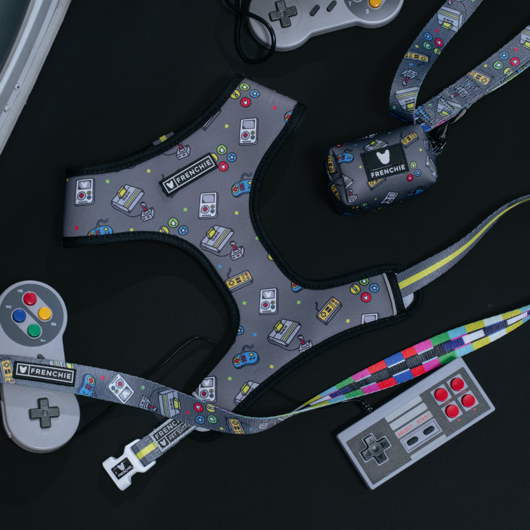 Frenchie Duo Reversible Harness - Gamer