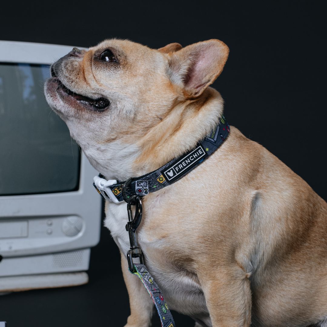 Frenchie Comfort Collar - Gamer