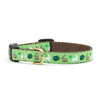 Up Country Garden Rabbit Small Breed Dog Collar Made in USA