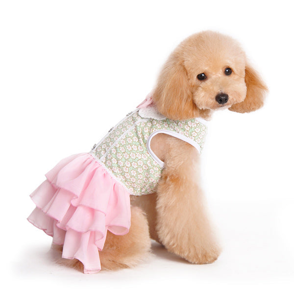 DOGO Gatsby Dog Dress