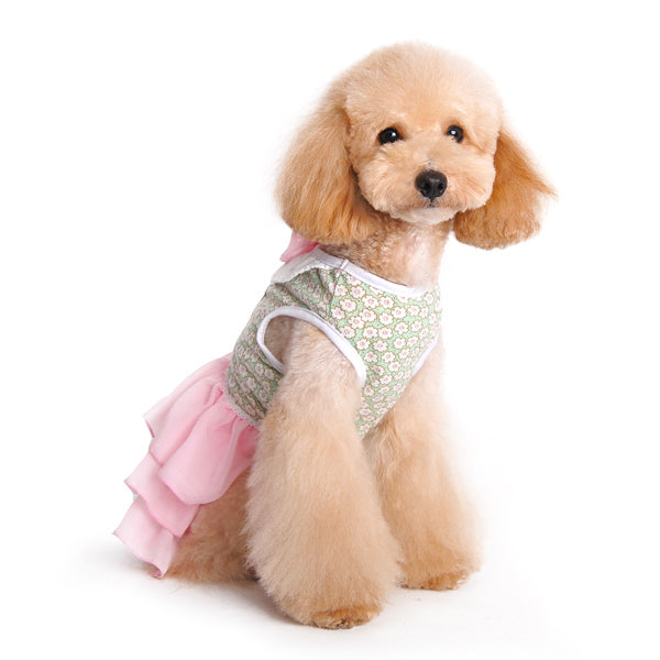 DOGO Gatsby Dog Dress