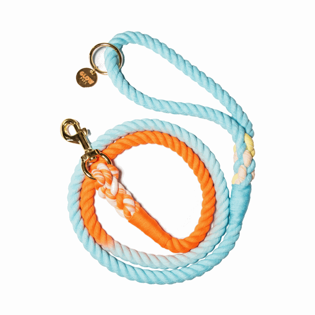 Glow Pups: Sunset Wave Orange and Blue Tie Dye Dog Leash