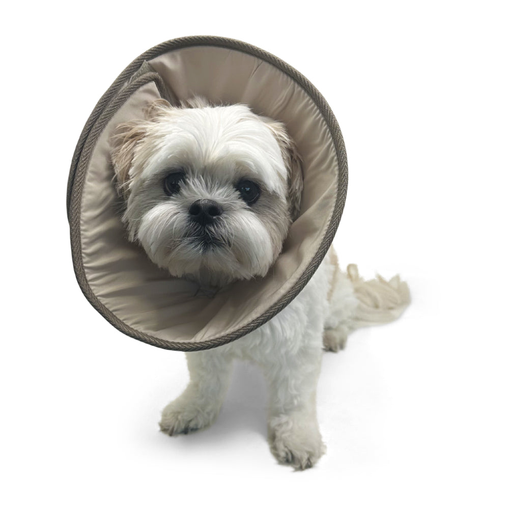 DOGO Get Better Soft Dog Recovery Collar